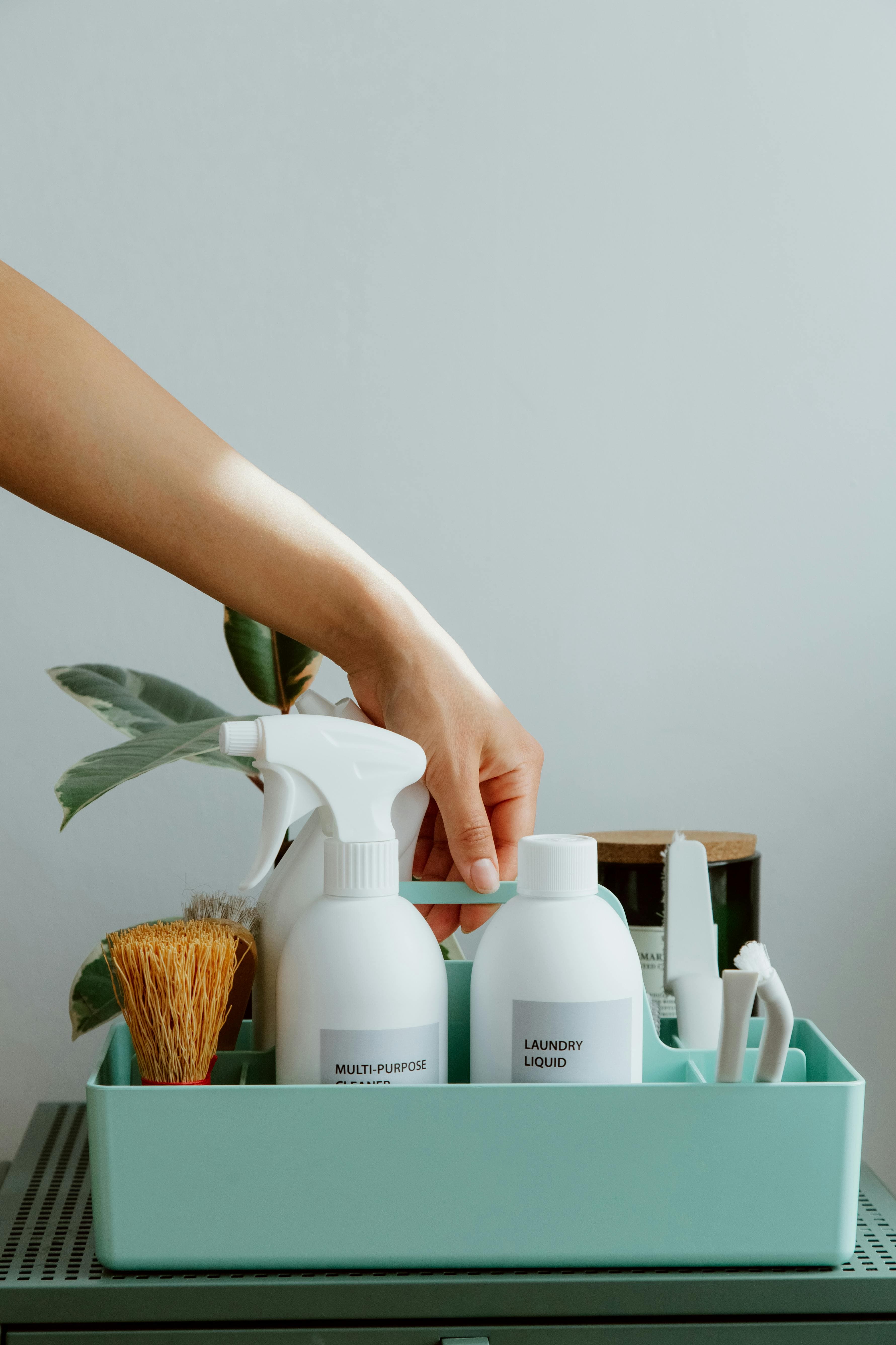 Cleaning Service